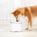 Автоматична поилка XIAOMI Smart Pet Fountain  1